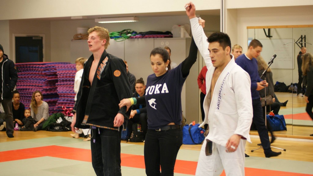 DM i BJJ 2013