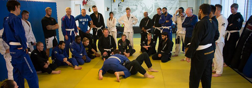 Intro BJJ Holdet