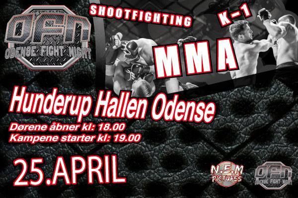 Odense Fight Night Mixed Martial Arts