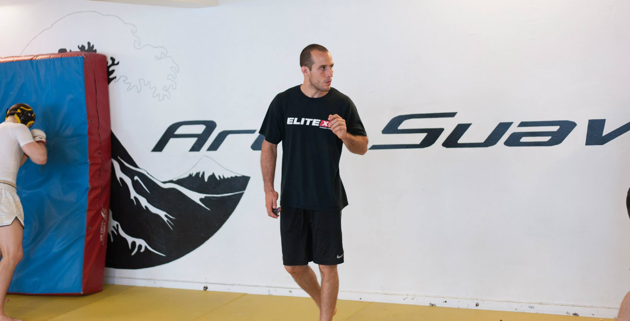 Danilo MMA Seminar 2014